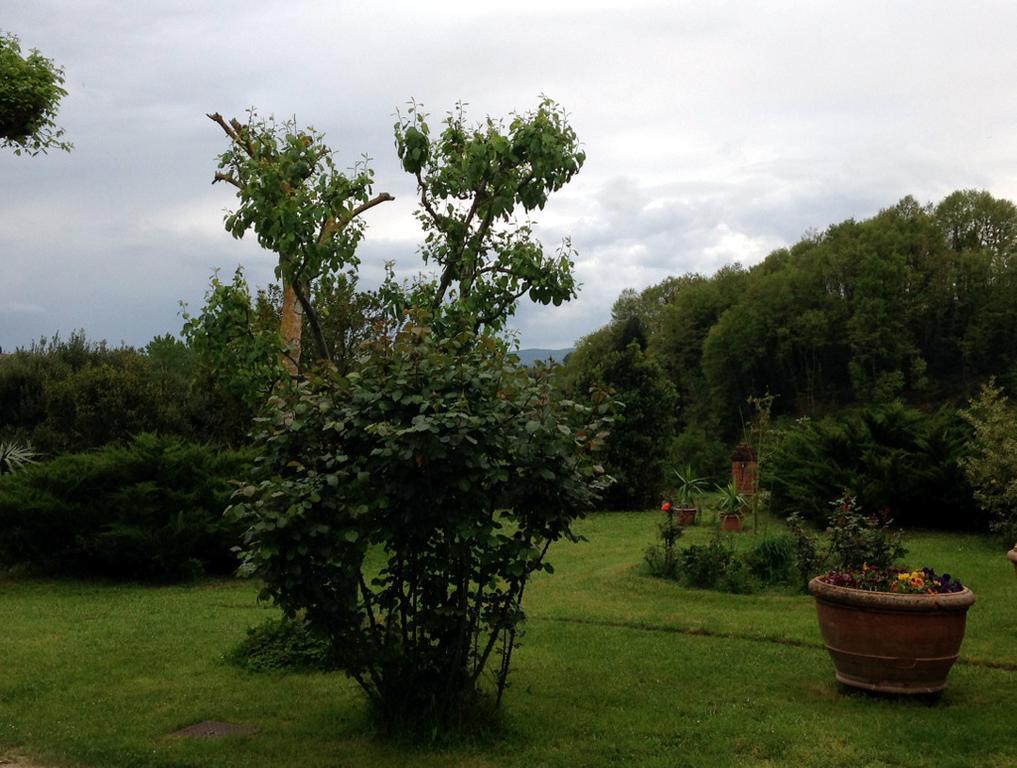 Lovely Tuscan Country House Siena Eksteriør billede